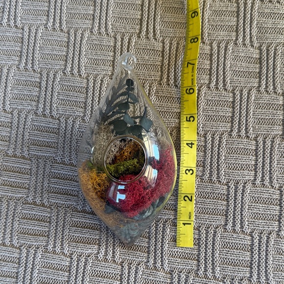 Glass Teardrop Hanging Terrarium with Red, Yellow, and Green Moss - Picture 9 of 10